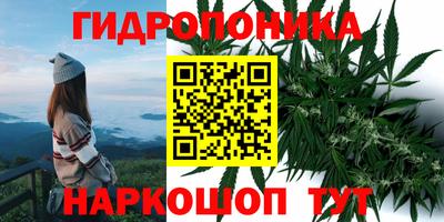 трава Бузулук