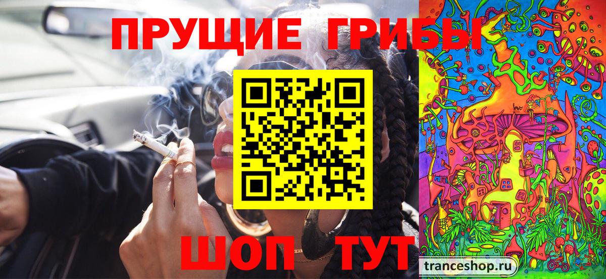 Галлюциногенные грибы ЛСД  купить закладку  Электрогорск  Вход с VPN 